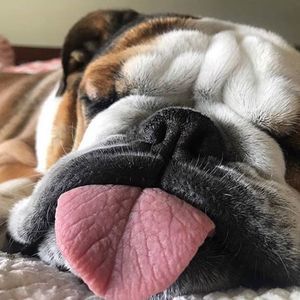 Meet your Posher, Ronnie